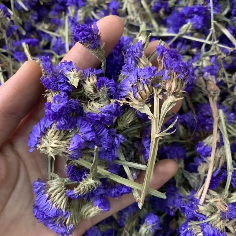 Top Natural Forget-me-not Drie - Soap Making Home avaliação e preço