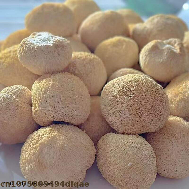 Premium Dried Lion's Mane Mush - Soap Making Home avaliação e preço